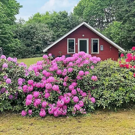 Holiday home 6 Person In *